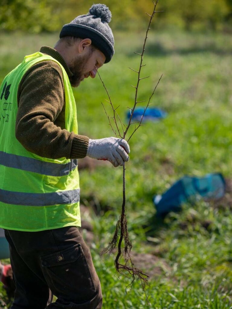 Photos of the Euronet team in Poland planting trees