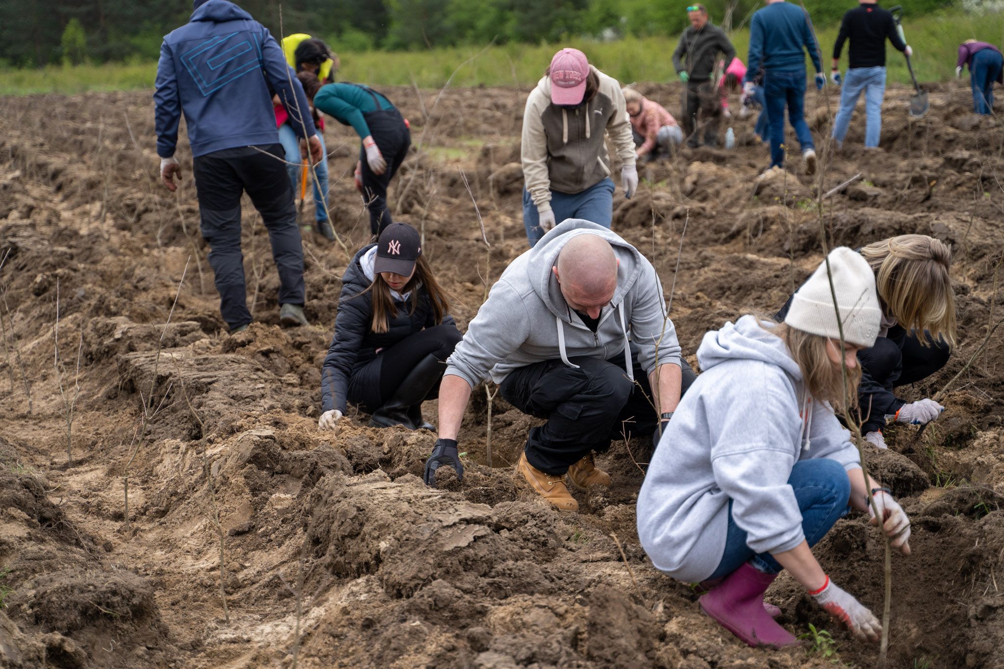 Photo of Euronet Poland team members planting trees