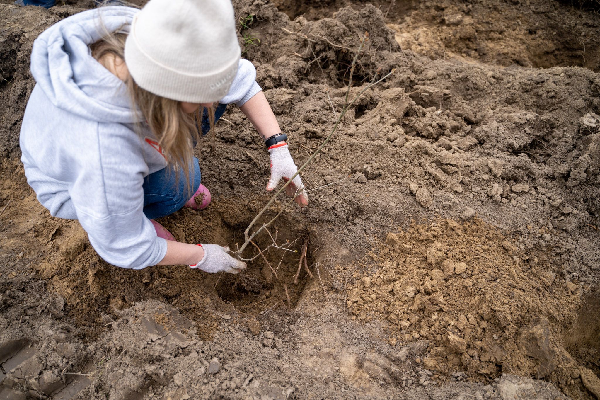 Photo of Euronet Poland team members planting trees