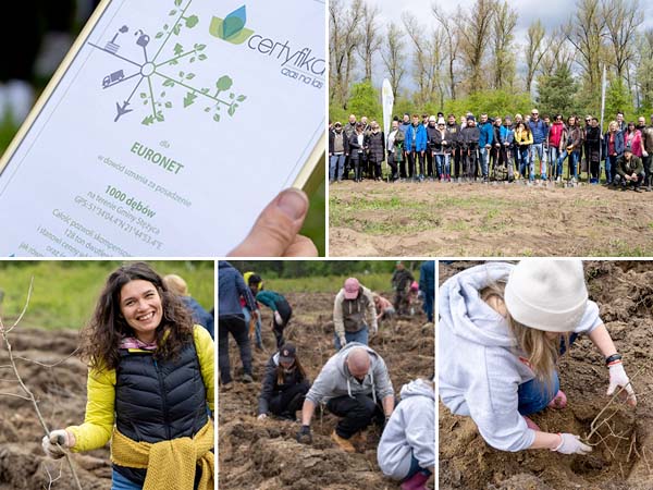 A collage of images from Euronet Poland and its team members planting trees