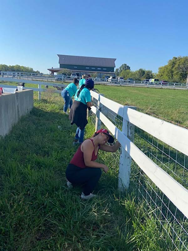 An image of Euronet employees helping at BoysGrow during the 2023 Days of Caring